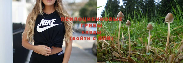 мефедрон Алексеевка